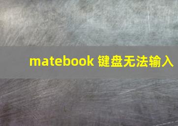 matebook 键盘无法输入